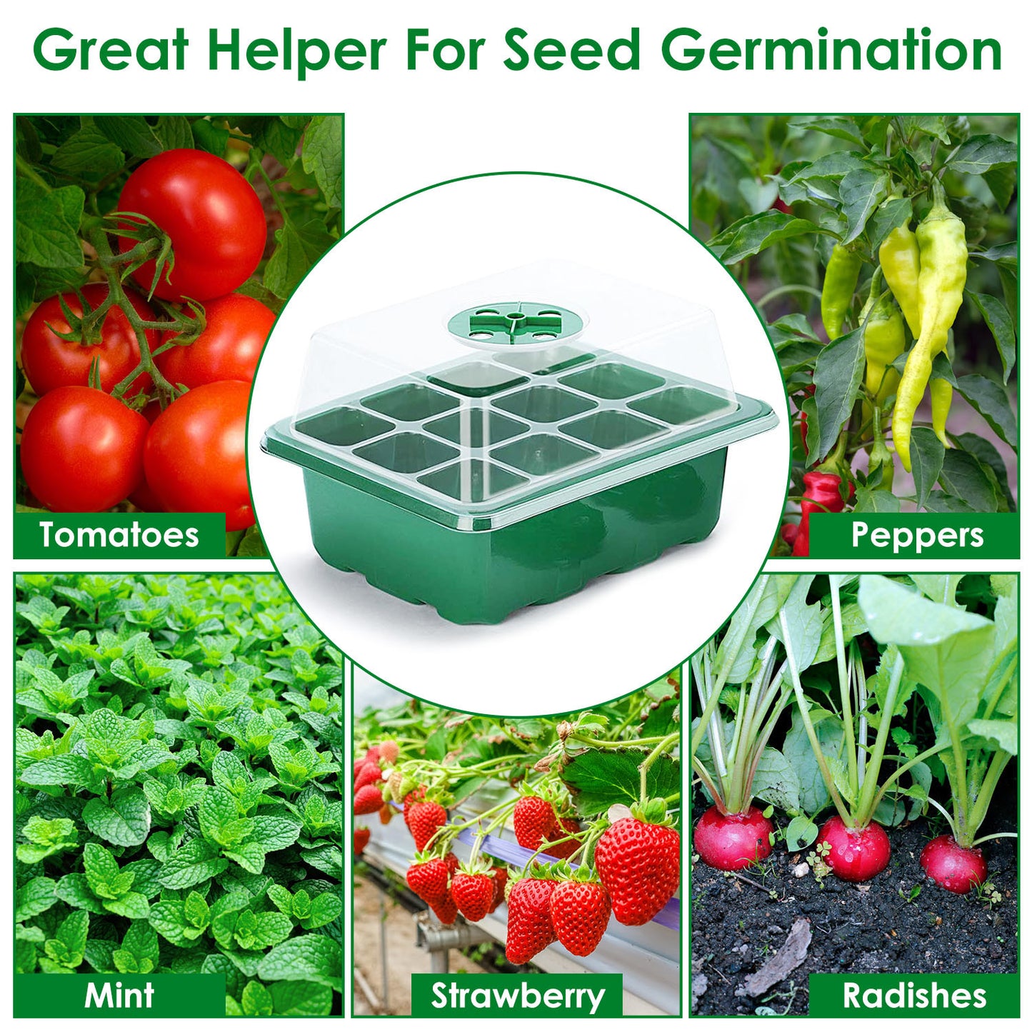 10Pcs Seed Starter Tray Kit Reusable Overall 120Cells Seeding Propagator Station Greenhouse Growing Germination Tray with Humidity Dome Label 2Pcs Garden Tools